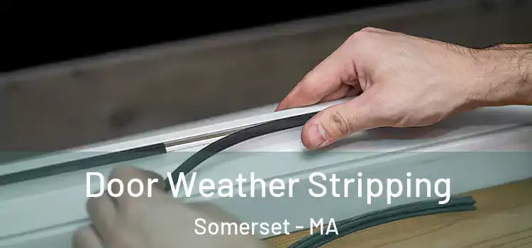 Door Weather Stripping Somerset - MA