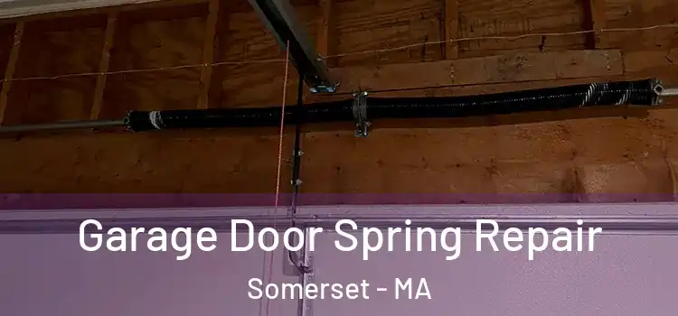  Garage Door Spring Repair Somerset - MA
