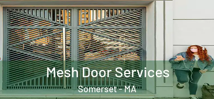 Mesh Door Services Somerset - MA
