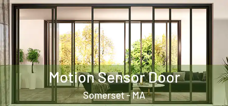  Motion Sensor Door Somerset - MA